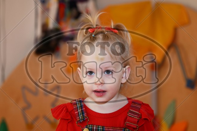 01 Pčelice 59 - FotoKurti