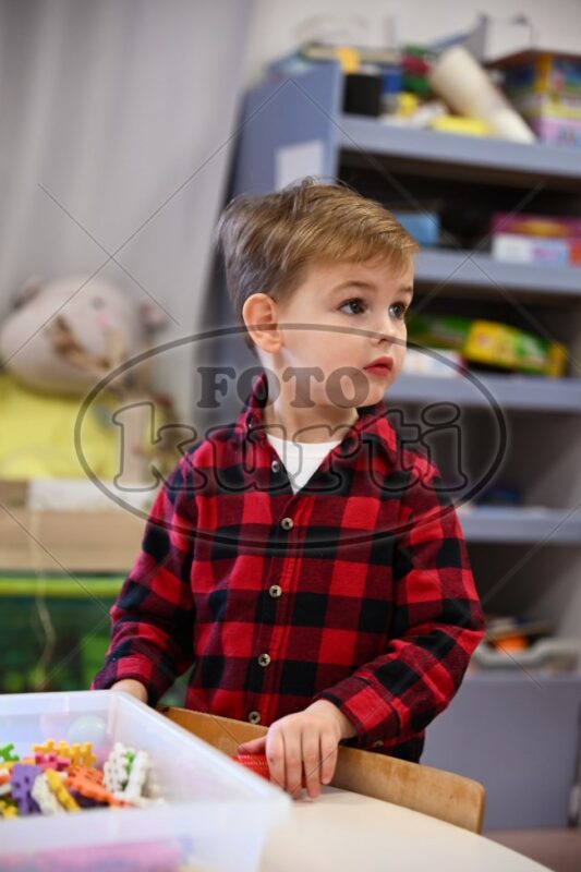 10 Pčelice 50 - FotoKurti