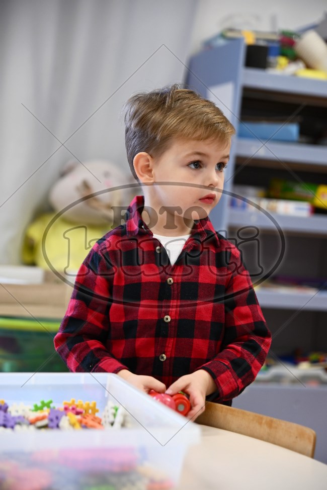 10 Pčelice 54 - FotoKurti