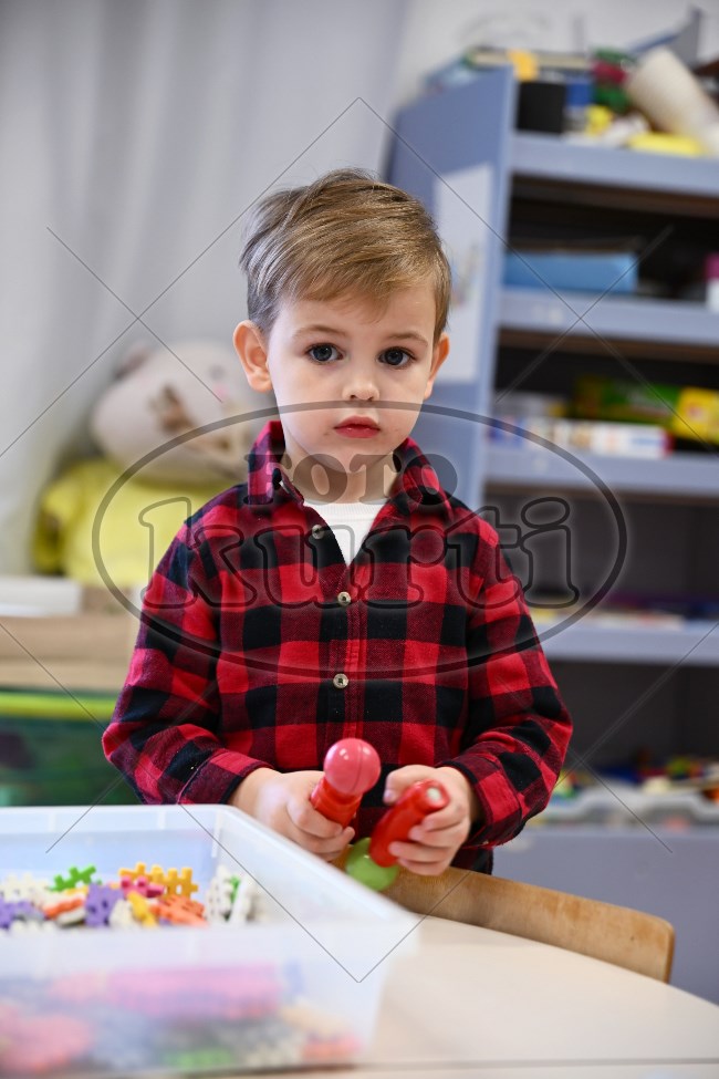 10 Pčelice 56 - FotoKurti