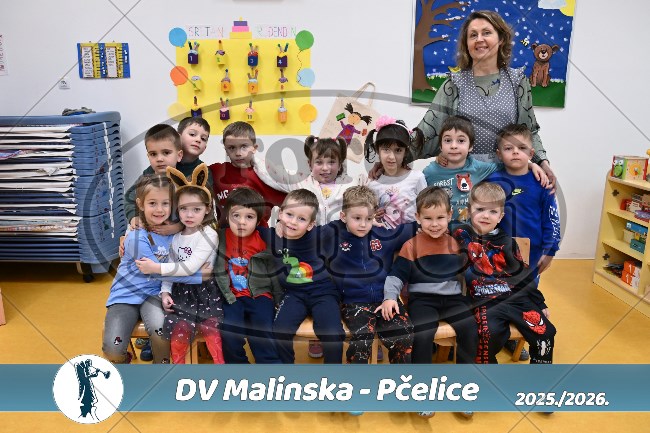 08 Pčelice 6 - FotoKurti