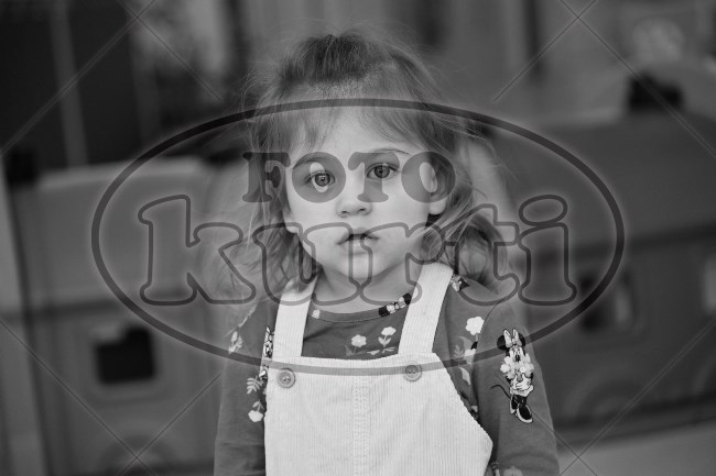 01 Ribice 168 - FotoKurti