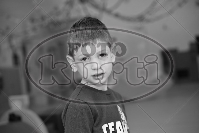 04 Pčelice 243 - FotoKurti