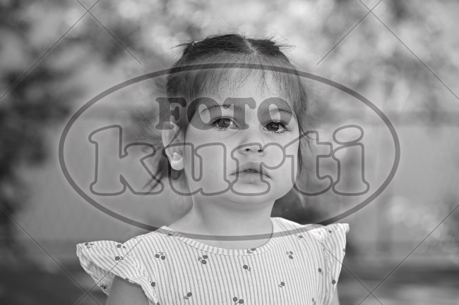 04 Lavići 133 - FotoKurti