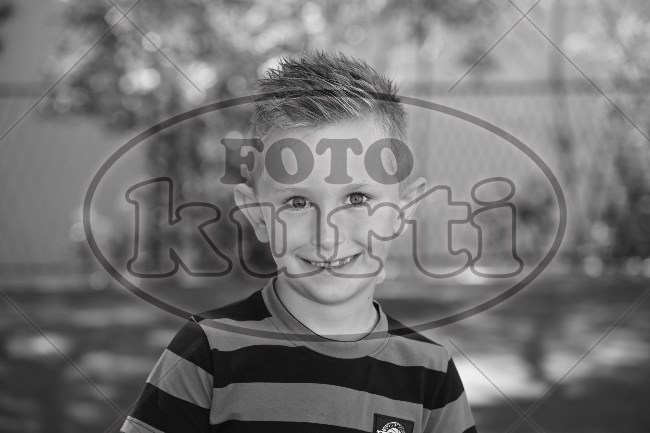 05 Suncokreti 88 - FotoKurti