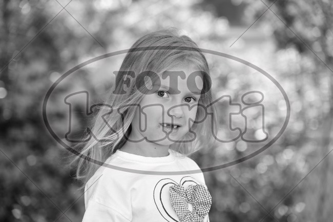 05 Suncokreti 180 - FotoKurti