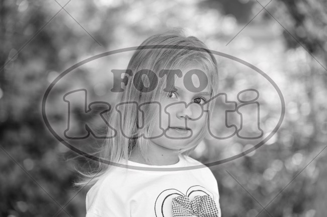 05 Suncokreti 186 - FotoKurti