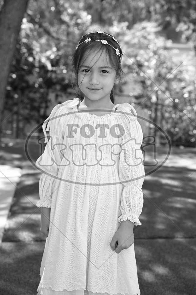 05 Suncokreti 214 - FotoKurti