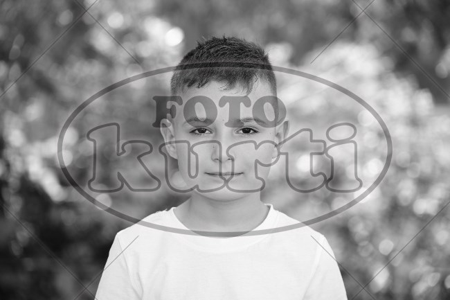 05 Suncokreti 242 - FotoKurti