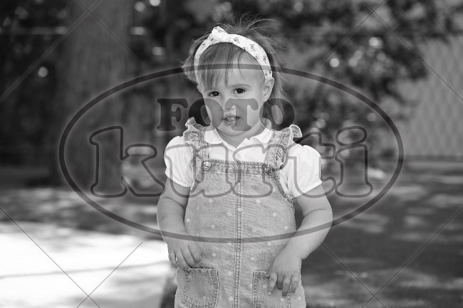 05 Suncokreti 275 - FotoKurti