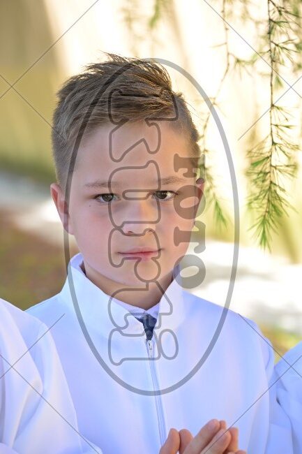 PP Tribalj 2026 228 - FotoKurti