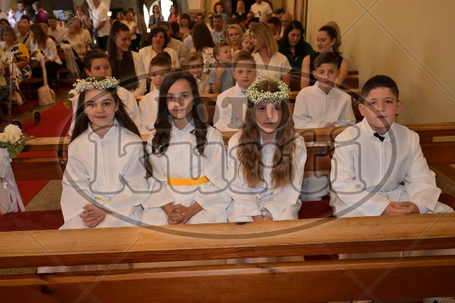 PP Tribalj 2026 234 - FotoKurti