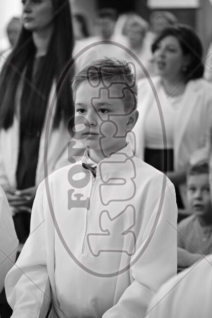 PP Tribalj 2026 258 - FotoKurti