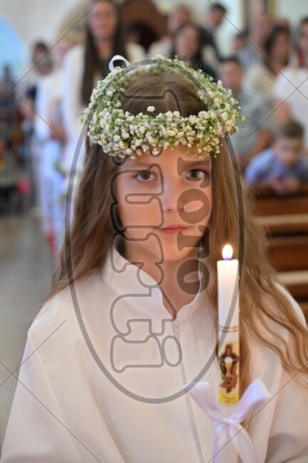 PP Tribalj 2026 320 - FotoKurti