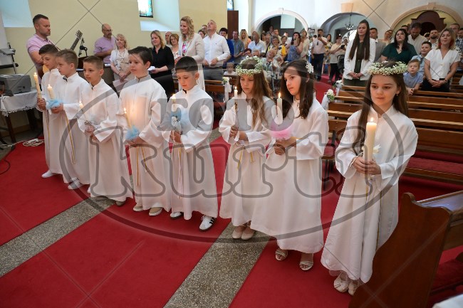 PP Tribalj 2026 332 - FotoKurti