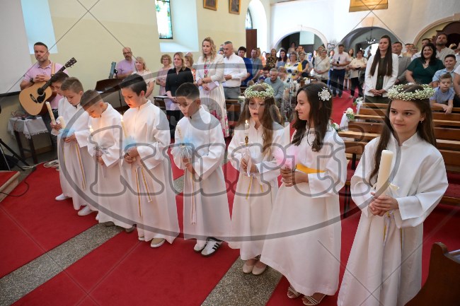 PP Tribalj 2026 336 - FotoKurti