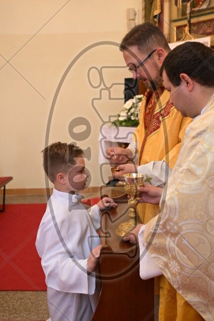 PP Tribalj 2026 377 - FotoKurti