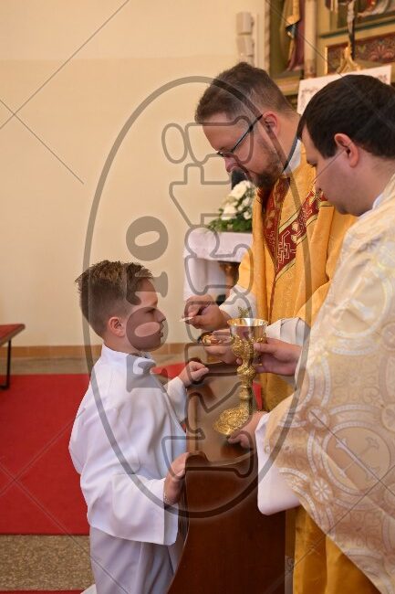 PP Tribalj 2026 378 - FotoKurti