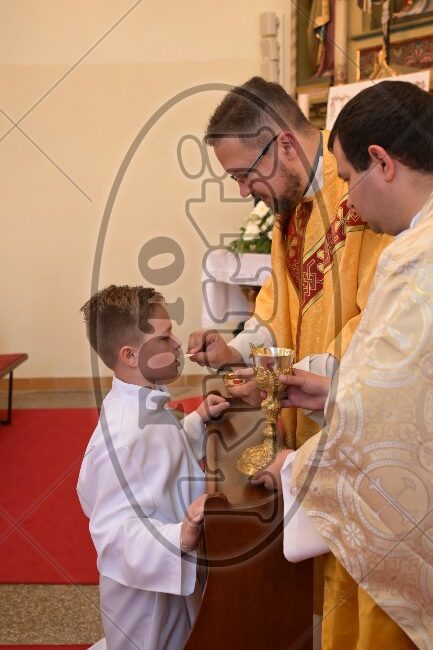 PP Tribalj 2026 379 - FotoKurti