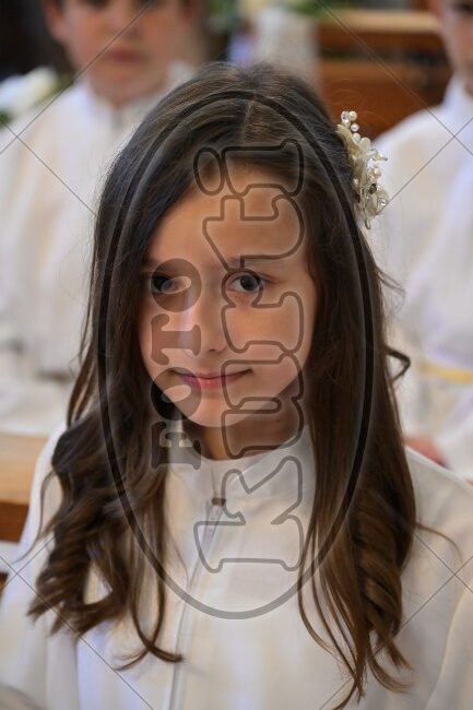 PP Tribalj 2026 387 - FotoKurti