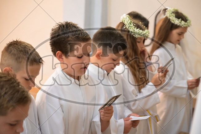 PP Tribalj 2026 418 - FotoKurti