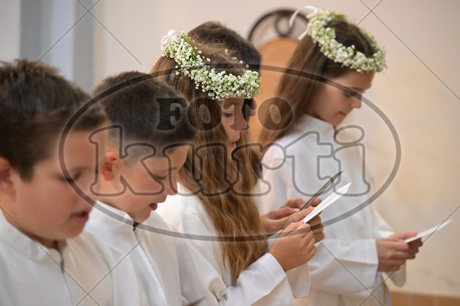PP Tribalj 2026 419 - FotoKurti