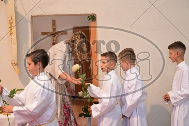PP Tribalj 2026 425 - FotoKurti