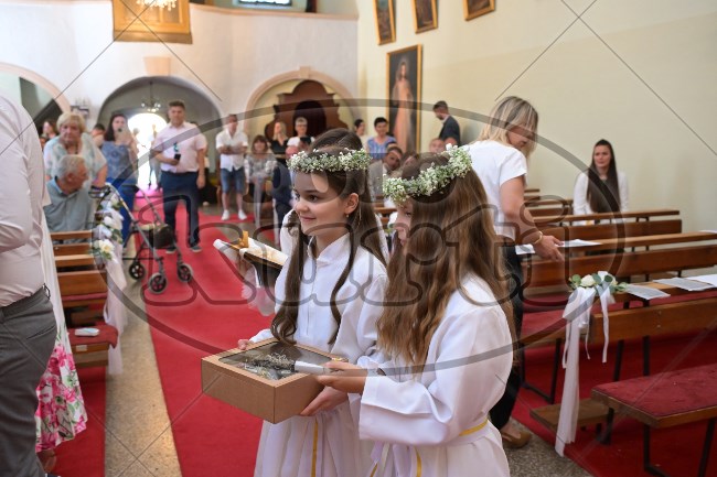 PP Tribalj 2026 437 - FotoKurti