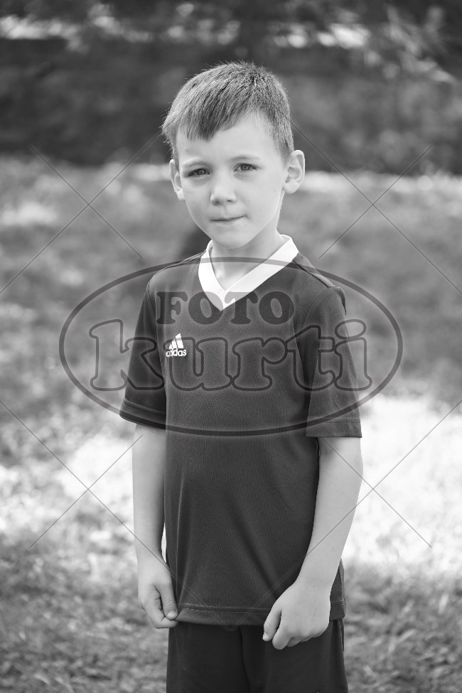 03 ZVJEZDICE 242 - FotoKurti